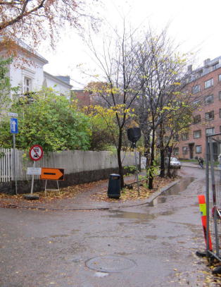 - Kvinne voldtatt mens en annen mann holdt vakt