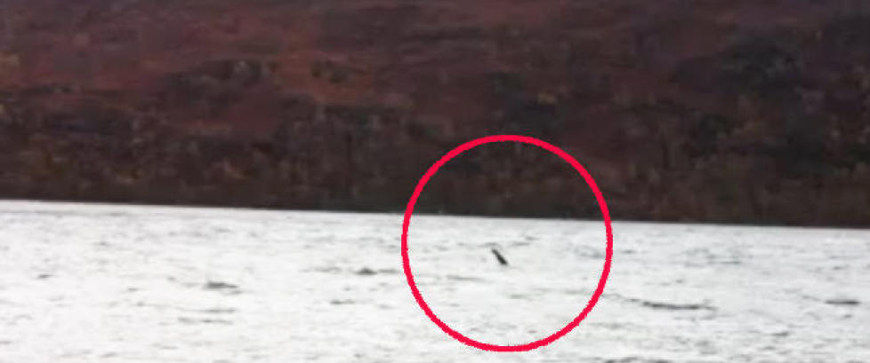 Lykkejegerne gir seg ikke: Nye påstander om sjørorm i Loch Ness
