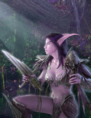 POPUL�RT: �World of Warcraft� er det mest popul�re onlinerollespillet i Norge, og i resten av verden for�vrig.