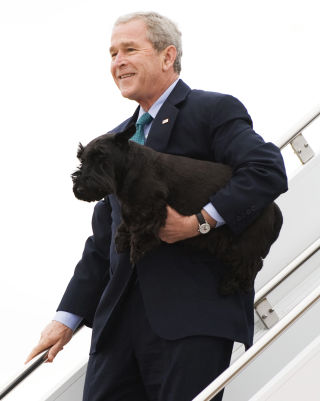 P� VEI UT: Barney og hans eier, president George W. Bush, har bare 75 dager igjen i Det hvite hus. Da kommer en ny president - og en annen hund. Foto: SAUL LOEB/AFP/SCANPIX