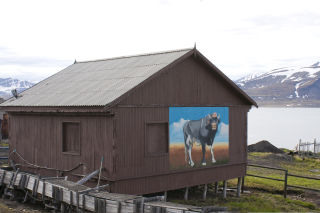 POLAROKSE: For ti �r siden var det en okse i Barentsburg. Her henger
et maleri av den arktiske oksen. Foto: GUNNAR THORENFELDT