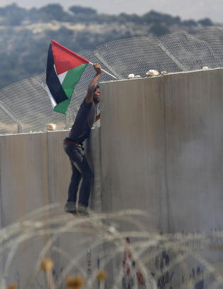 Palestinerne blir snart i flertall