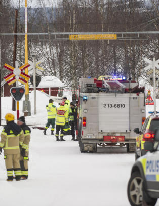 Mor og to barn påkjørt og drept av godstog i Sverige