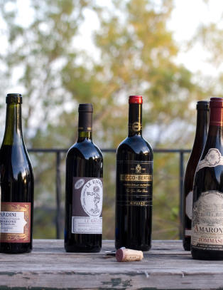 Amarone og ripasso er de nye folkevinene. Vi har testet 18 av dem.