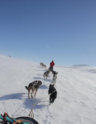 Glem kladding og bakglatte ski - vinterfjellet blir enda finere bak et hundespann