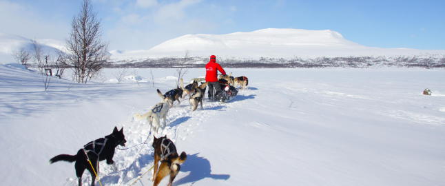 Glem kladding og bakglatte ski - vinterfjellet blir enda finere bak et hundespann