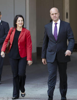 Hun slapp nyheten om at Reinfeldt skulle separeres - nå har de innledet et forhold