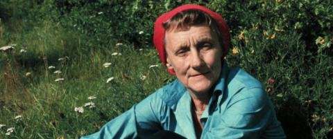 Sara (12) kastet brevet fra Astrid Lindgren i toalettet