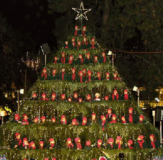 SYNGENDE TRE: P� rad og rekke st�r de og synger. Med r�de luer ligner koristene sm� kuler som henger p� treet.Foto: The singing christmas tree