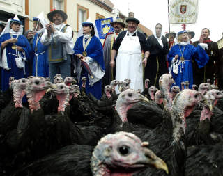KALKUNPARADE: I Licques i Frankrike tar slakterne �rlig julematen med p� tur. Dette bildet er fra 2002. Foto: REUTERS/Pascal Rossignol/SCANPIX