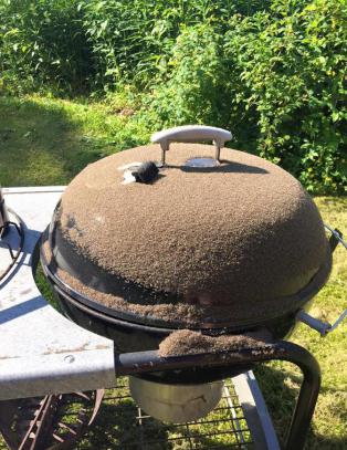 Anna og Björn ble plaget av knott i årevis. Så fant de en genial løsning