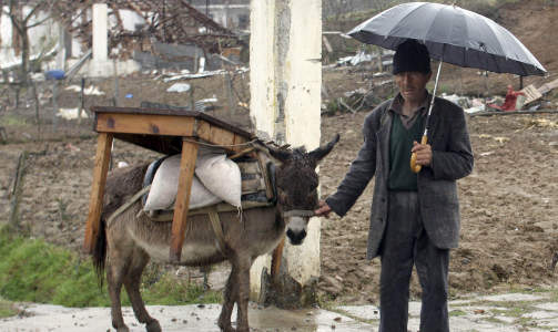 TRAGEDIA I ALBANIA: Denne mannen står sammen med eselet foran det ødelagte huset sitt i Gerdec, 1,6 mil utenfor Tirana. I mars omkom 18 mennesker da en serie eksplosjoner gikk av ved et ammunisjonslager. Foto: Arben Celi TRAGEDIA I ALBANIA: Denne mannen står sammen med eselet foran det ødelagte huset sitt i Gerdec, 1,6 mil utenfor Tirana. I mars omkom 18 mennesker da en serie eksplosjoner gikk av ved et ammunisjonslager. Foto: Arben Celi