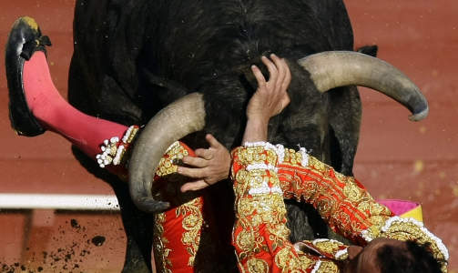 OVERMANNET: Den spanske matadoren Pepin Liria i nærkamp med oksen under en tyrefekting i Sevilla i april. Foto: Marcelo del Pozo OVERMANNET: Den spanske matadoren Pepin Liria i nærkamp med oksen under en tyrefekting i Sevilla i april. Foto: Marcelo del Pozo