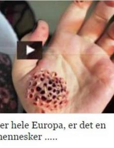 Pass deg for denne Facebook-«nyheten»