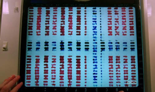 NORSK DNA: If�lge tv-serien.