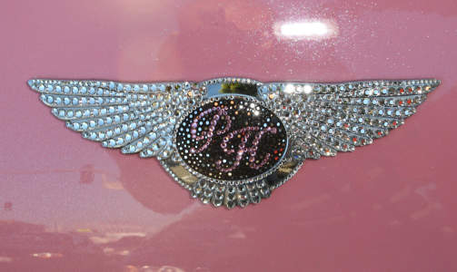 MONOGRAM: Panseret er utstyrt med eierens initialer.