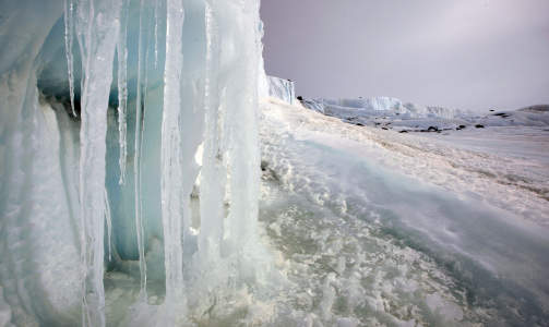 BEL�NNING: Et vakkert syn m�tte de fire nordmennene. Foto: Heiko Junge / SCANPIX
