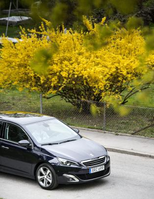 En hyllest til bilen