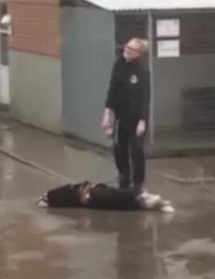 Videoen av hunden Thor tar internett med storm: Vil bare sove i regnet