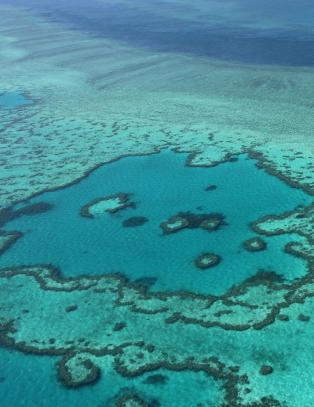 - 95 prosent av Great Barrier Reef er alvorlig bleket, og halvparten kan d� innen en m�ned