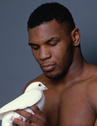 Mike Tyson kjøpte duer fra Roy (62) i Radøy for 140 000 kroner