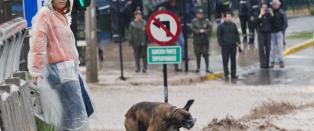 Fire millioner uten drikkevann i Chile