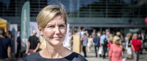 Skattekrøll på Stortinget