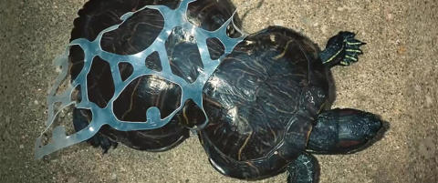 �lbryggeriets geniale id� kan redde liv