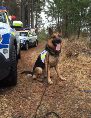 La på sprang etter trafikkulykke - ble funnet av politihunden Gibbs