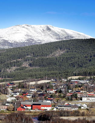 Nabofar i Alvdal-saken d�mt til forvaring