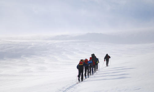 TOPPTURER: DNT tar med seg medlemmer fra 55 og oppover. Foto: Den norske turistforening.