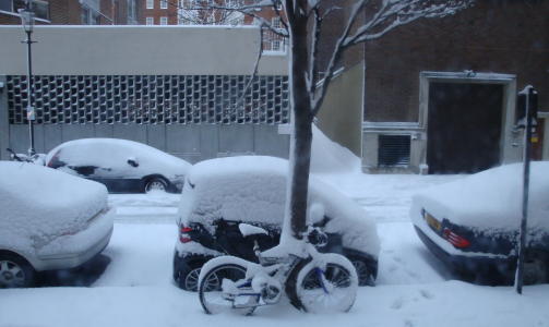 LAR BILEN ST�:  Bildet er tatt klokken 8.30 i morges i Chelsea i London. Leserfoto: Adele Heidenreich