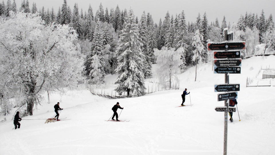 SKIHELG: Hvitt, vakkert og ypperlig skif�re ved Sinober i Lillomarka.
Foto: Paul Kleiven / SCANPIX