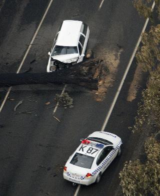 MANGE FARER: En forkullet tre har veltet og truffet en bil. Foto: SCANPIX/AP Photo/Rick Rycroft