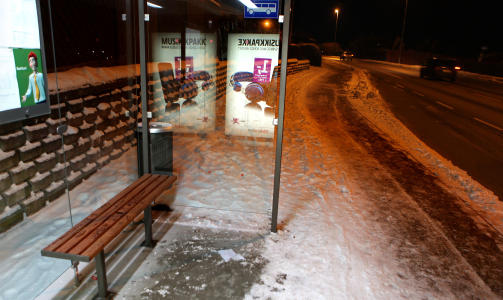  BENKER AV REGNSKOGTRE: Opprinnelsen til ip�treet er ukjent. Foto: Erling H�geland.