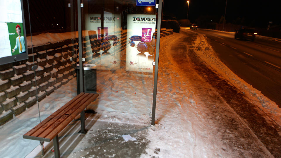  SITTER P� REGNSKOGEN: Benkene i 700 busskur i Rogaland er laget av brasiliansk ip�. Foto: Erling H�geland.