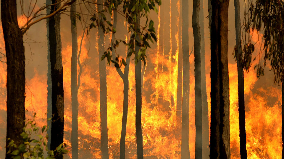 ENORME SKADER: Over 750 hus er brent ned, og 5.000 mennesker er s�langt blitt hjeml�se. Tirsdag beveget brannen seg i retning byen Dederang i Victoria Alps. Foto: AFP PHOTO/Torsten BLACKWOO