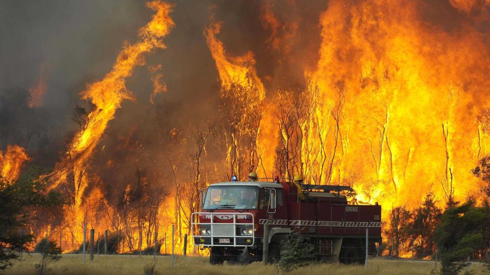  BRANNMENN KREVER NY KLIMAPOLITIKK: Mener det t�rre og varme klimaet er resultat av global oppvarming. Det samme mener Erik Solheim. Bildet er fra brannen i Bunyip Sate-skogen tidligere denne uka. Foto: AP/ SCANPIX.