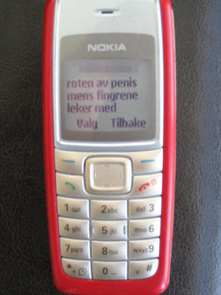VELDIG PRIVAT: Elkj�p oppfordrer sine kunder til � slette alt innhold f�r de leverer l�nemobilen tilbake til forretningen. Foto: Espen Ottosen