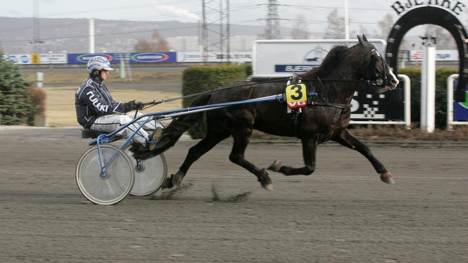 GR�TELSKEREN: Der andre hester foretrekker h�y, havre og gulr�tter, sverger M�rtvedt Jerkel til gr�t som n�ringskilde.Foto: Hesteguiden.com