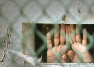 DESPERAT: En Guantanamo-fange titter ut i frihet. Foto: Brennan Linsley/AP/Scanpix