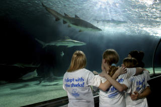 IKKE ET VANLIG KJ�PESENTER: Mall of America. Foto: Mall Of America