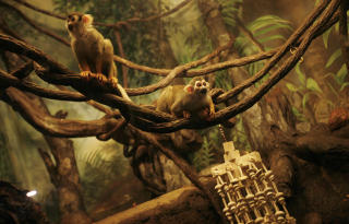 APER: Fra Bronx Zoo. Foto: Mike Segar/REUTERS/Scanpix
