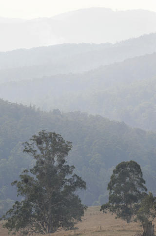 R�YK: R�yken siver opp fra Neerim, s�r for  Bunyip Ridge i Bunyip State Forest hvor det fremdeles brenner innenfor et avgrenset omr�det. Foto: AFP/Paul CROCK/Scanpix