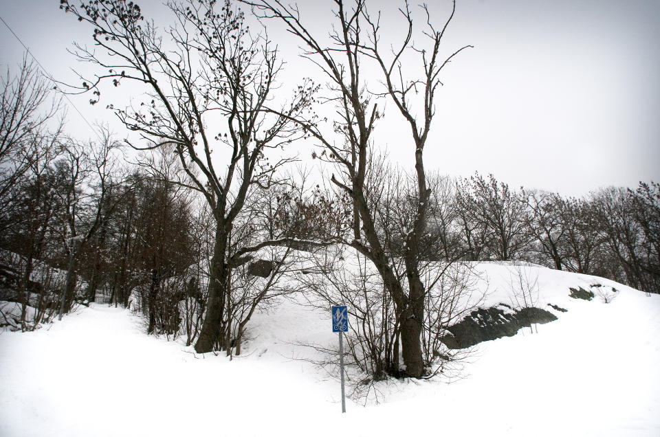 �STEDET: Den angivelige voldtekten skal ha skjedd i Bratteliparken i Fredrikstad. Foto: John T. Pedersen/Dagbladet