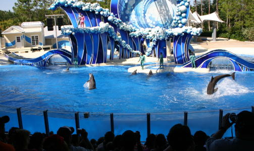 FLORIDA: Orlando Sea World. Foto: KIRSTEN BUZZI