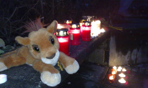 TENTE LYS: De s�rgende har tent lys til minne om de d�de. Foto: �istein Norum Monsen/Dagbladet
