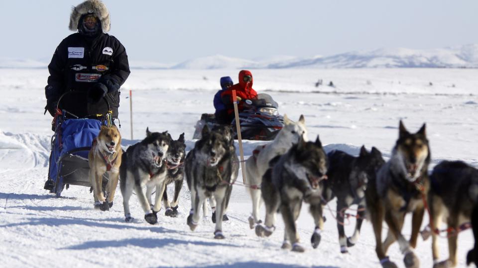 I LEDELSEN: Regjerende mester Lance Mackey har en knapp ledelse til Ulalakleet. Foto: AP/Al Grillo