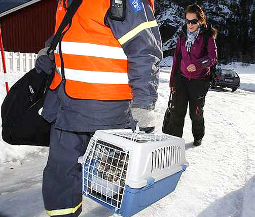 REDDET I G�R: Ett �r gamle Mons kom tilbake i sikkerhet i g�r. Matmor Monica Bentsen (21) var lettet. Foto: Hans Arne Vedlog/Dagbladet