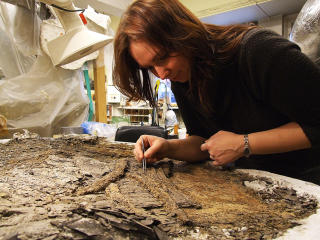 M�YSOMMELIG: Mange tusen fossilbiter fra funnstedet p� Svalbard granskes. Foto: Naturhistorisk museum/UiO
